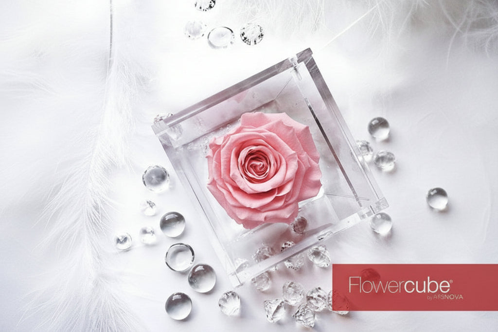 Rosa Stabilizzata in Vetro 8x8 - by ARS nova