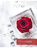 Rosa Stabilizzata in Vetro 10x10 - by ARS nova